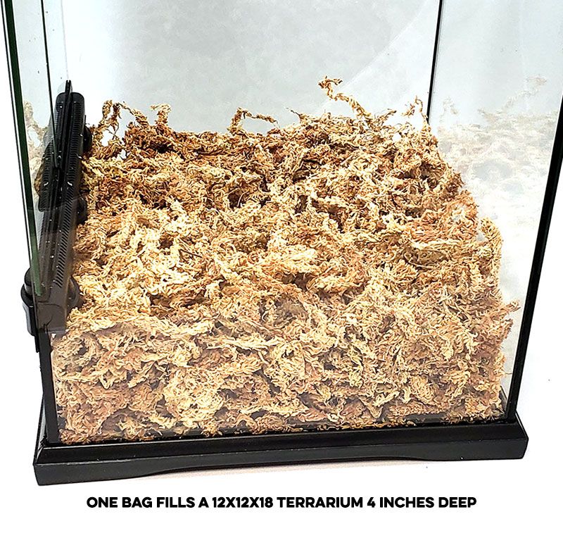 Sphagnum Peat Moss 250g - Terrarium Substrate for Amphibians or Reptiles