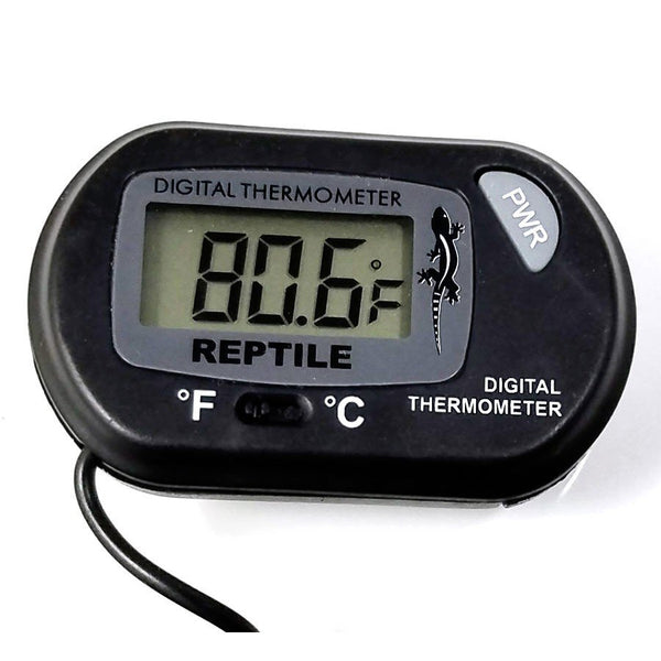 https://www.pangeareptile.com/cdn/shop/products/thermometer2_q3le-zx_600x.jpg?v=1556561874