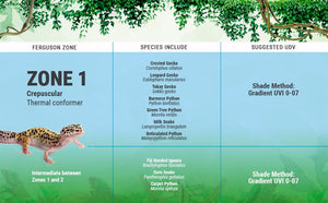 Reptile Systems Eco Pro T5 Fixture - 2.4% UVB - Zone 1